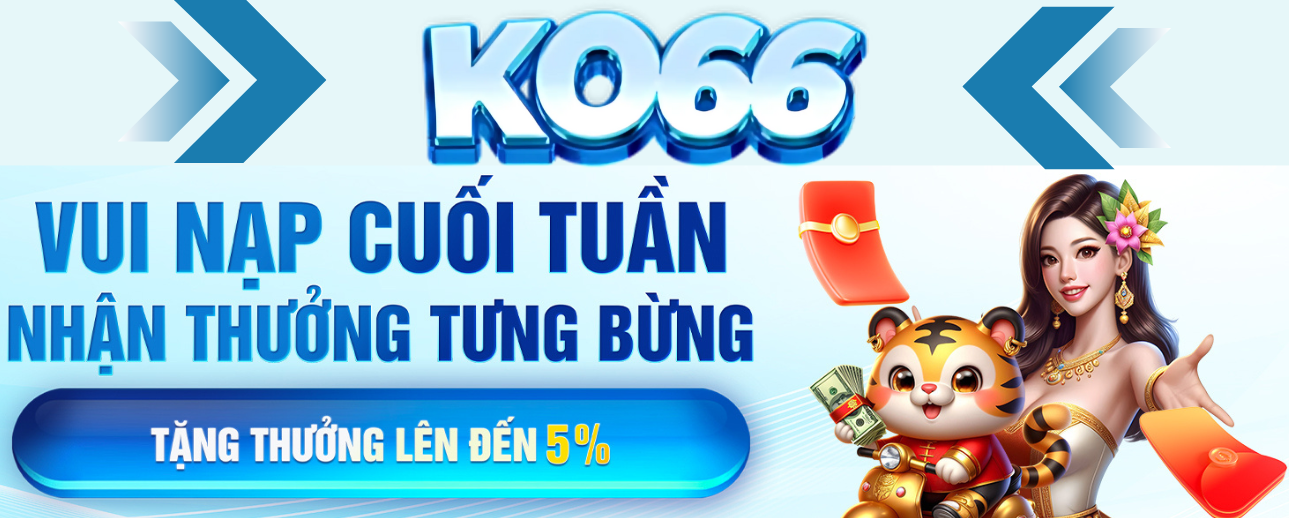 baner-ko66-my-2