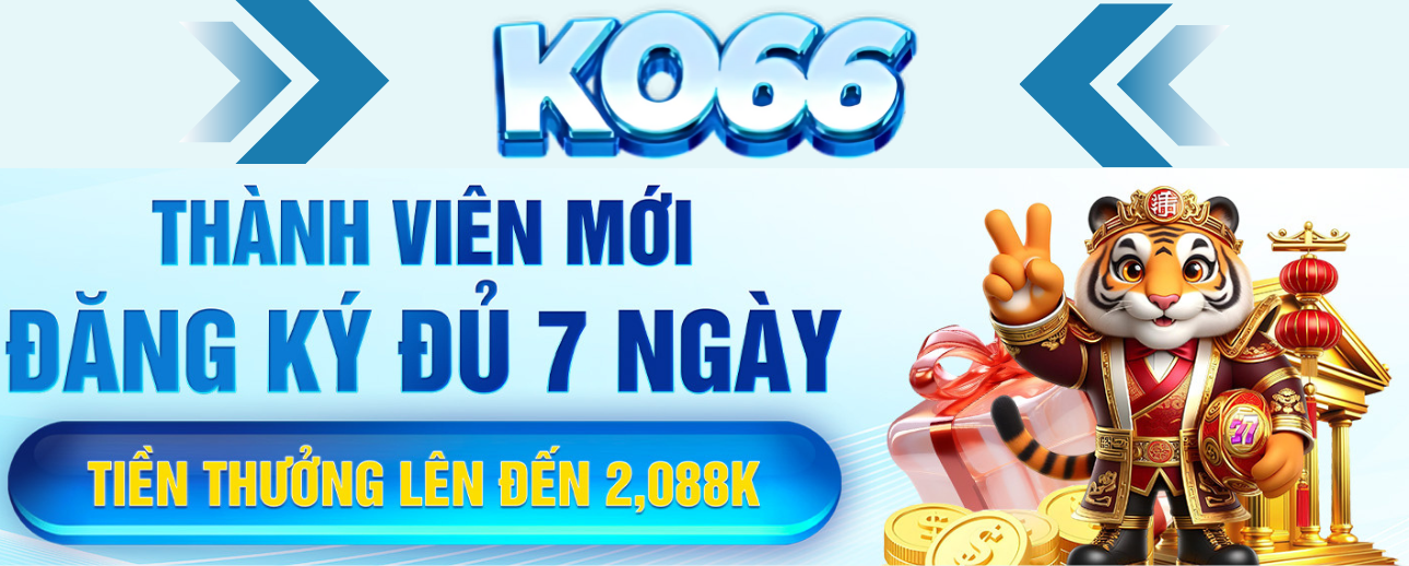 baner-ko66-my